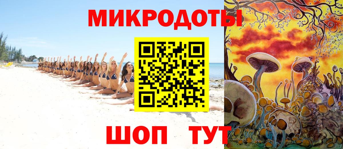 Галлюциногенные грибы Psilocybe Назрань