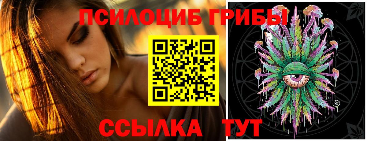 Псилоцибиновые грибы Cubensis  Вход с VPN  Назрань 